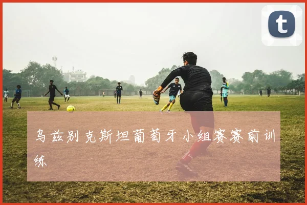 乌兹别克斯坦葡萄牙小组赛赛前训练