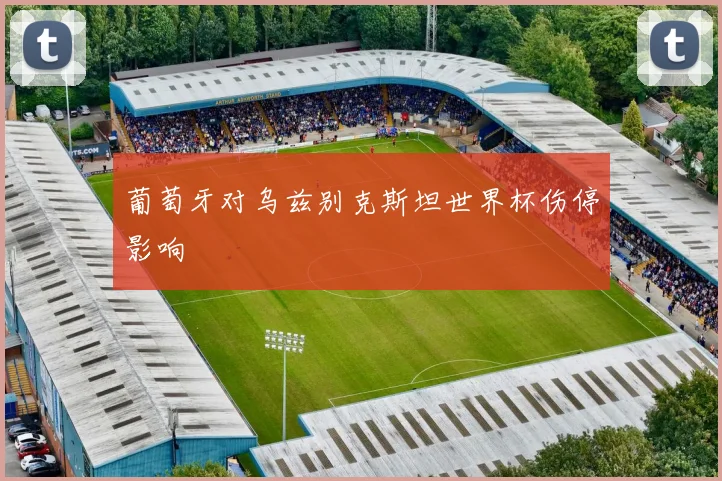 葡萄牙对乌兹别克斯坦世界杯伤停影响