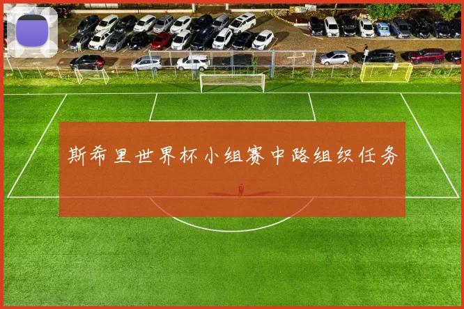 斯希里世界杯小组赛中路组织任务