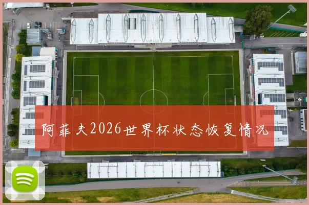 阿菲夫2026世界杯状态恢复情况