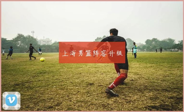 上海男篮阵容升级