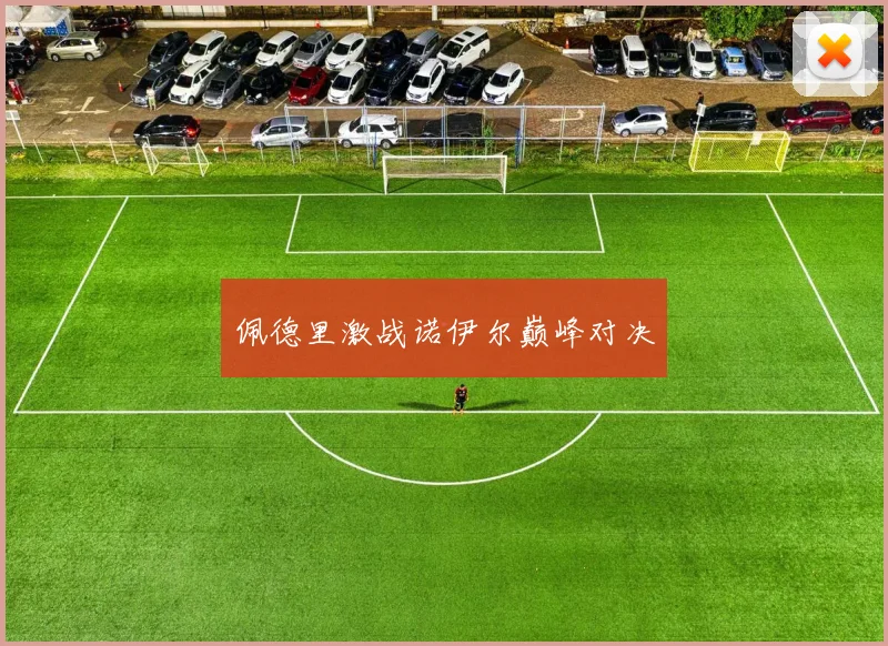 佩德里激战诺伊尔巅峰对决