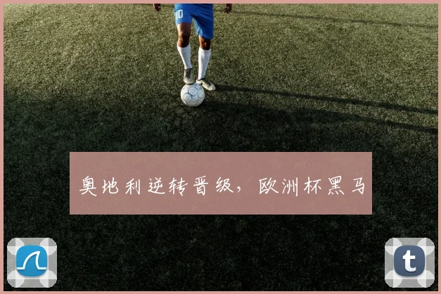 奥地利逆转晋级，欧洲杯黑马