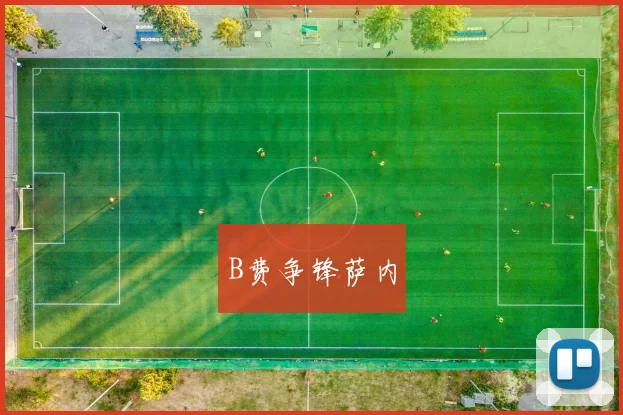 B费争锋萨内