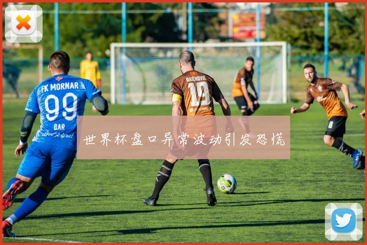 世界杯盘口异常波动引发恐慌