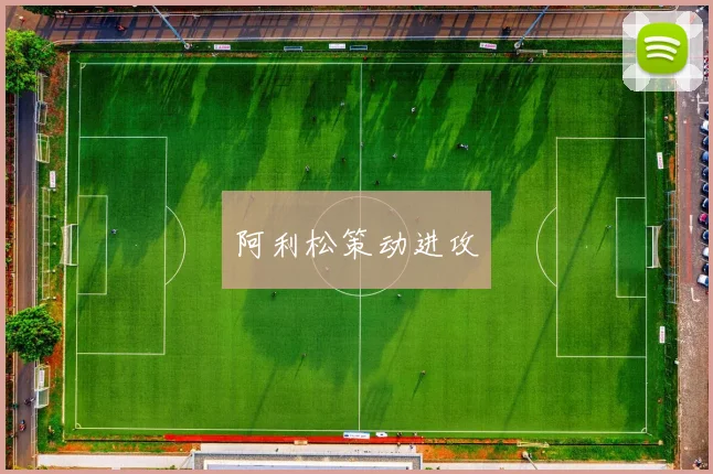 阿利松策动进攻