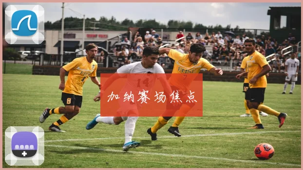 加纳赛场焦点
