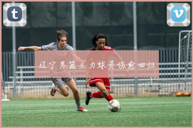 辽宁男篮主力球员伤愈回归