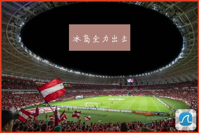 冰岛全力出击