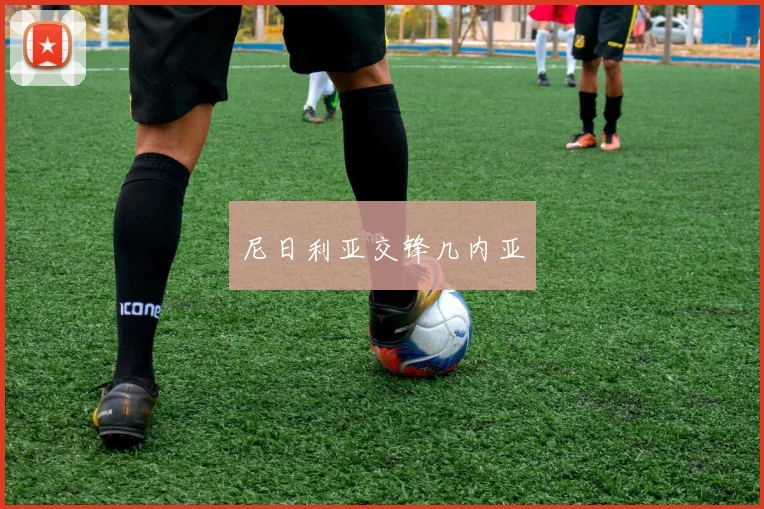 尼日利亚交锋几内亚