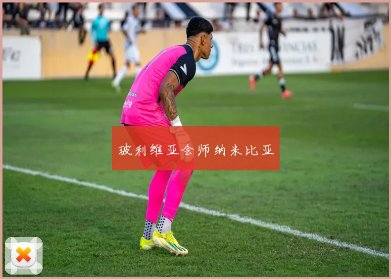 玻利维亚会师纳米比亚