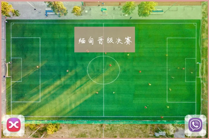 缅甸晋级决赛