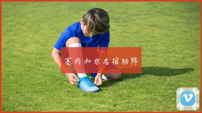 塞内加尔名宿助阵