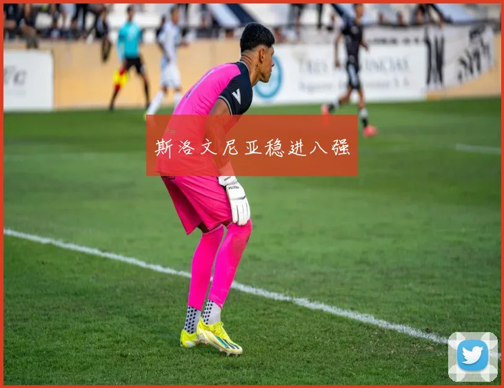 斯洛文尼亚稳进八强