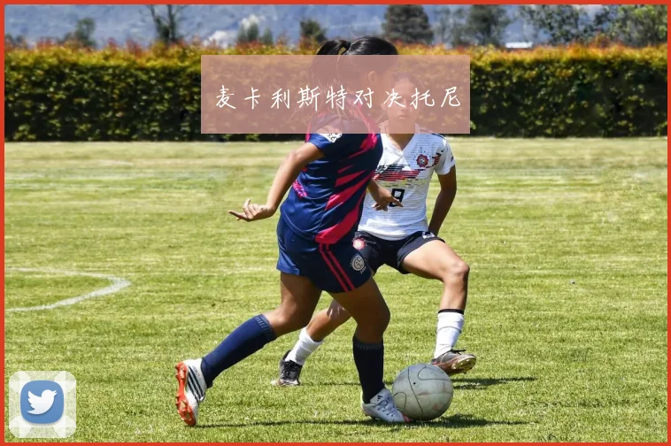 麦卡利斯特对决托尼