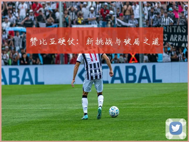 赞比亚硬仗：新挑战与破局之道