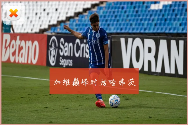 加维巅峰对话哈弗茨
