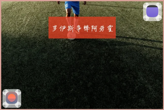 罗伊斯争锋阿劳霍