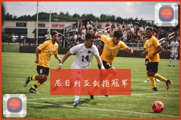 尼日利亚剑指冠军