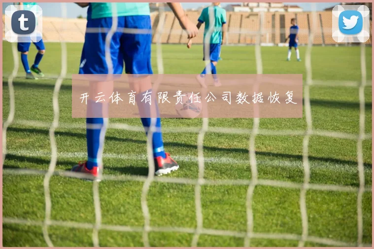 开云体育有限责任公司数据恢复