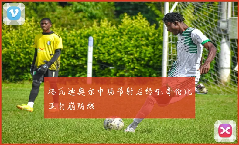 格瓦迪奥尔中场吊射后怒吼哥伦比亚打崩防线
