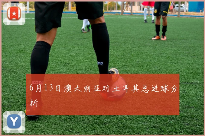 6月13日澳大利亚对土耳其总进球分析