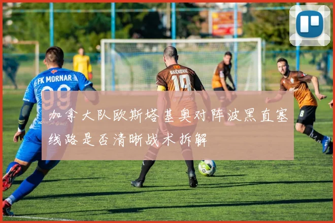 加拿大队欧斯塔基奥对阵波黑直塞线路是否清晰战术拆解